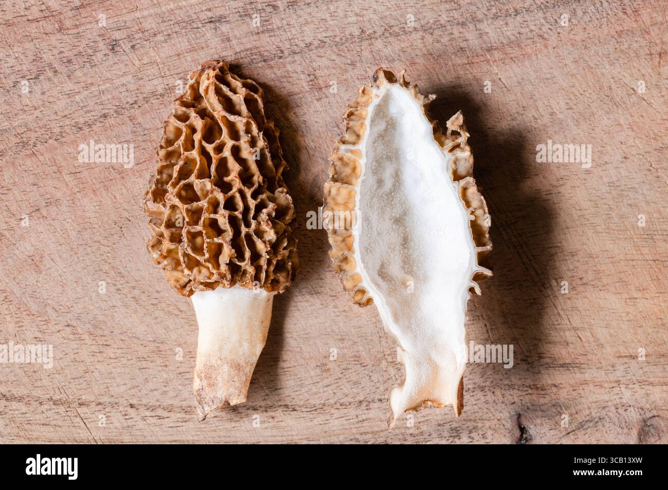 Un champignon Morchella coupé en deux, montrant l'intérieur du champignon et le chapeau du champignon, sur fond de bois Banque D'Images
