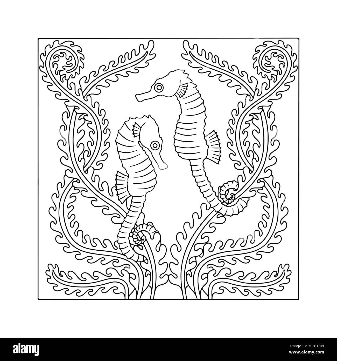 Couple de cheval de mer de style Art nouveau nageant parmi les algues dessinées à la main monochrome page de livre de coloriage facile illustration vectorielle Illustration de Vecteur