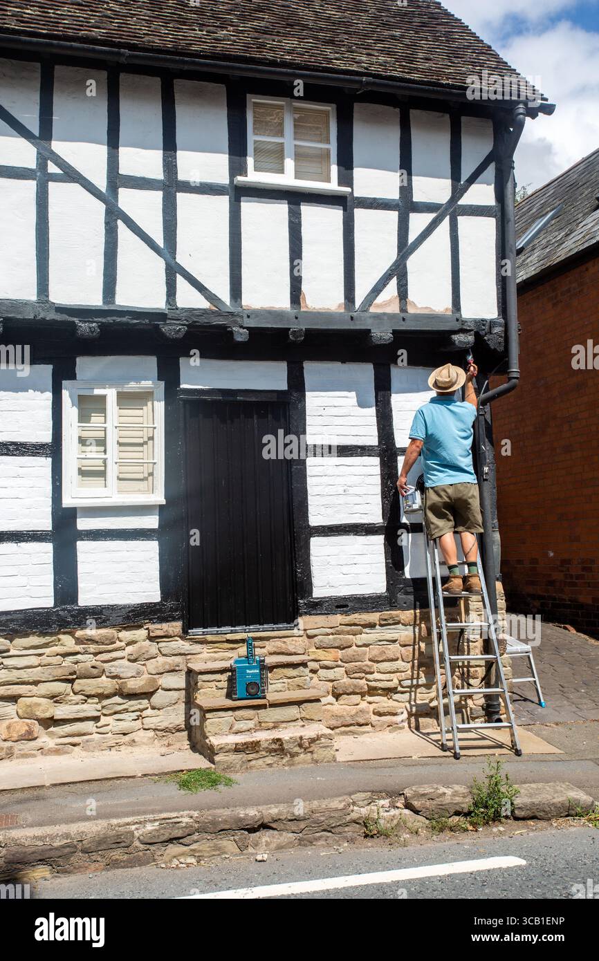 Homme sur les échelles peignant la maison dans les chalets anglais noir et blanc par excellence dans le village Herefordshire de Pembridge Angleterre Banque D'Images