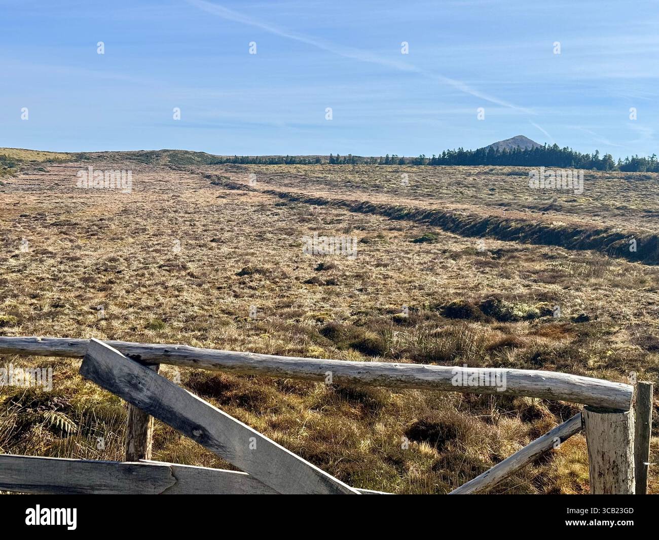 Sentier de randonnée à travers le plateau de Graminhais menant au Pico da Vara, le point culminant de l'île de São Miguel, aux Açores. Banque D'Images