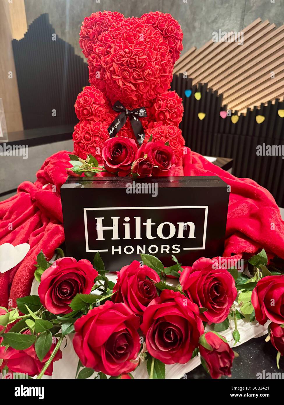 Romantique rose Saint-Valentin ours en peluche dans les hôtels Hilton avec roses rouges et boîte Hilton Honors de marque. Banque D'Images