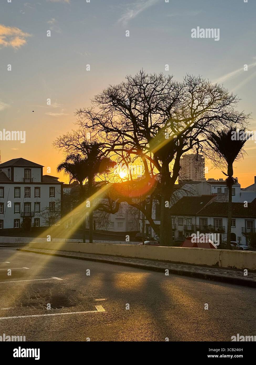 Lever de soleil sur Ponta Delgada, aux Açores, avec des silhouettes d'arbres et de bâtiments de la ville qui brillent dans la lumière du matin. Banque D'Images