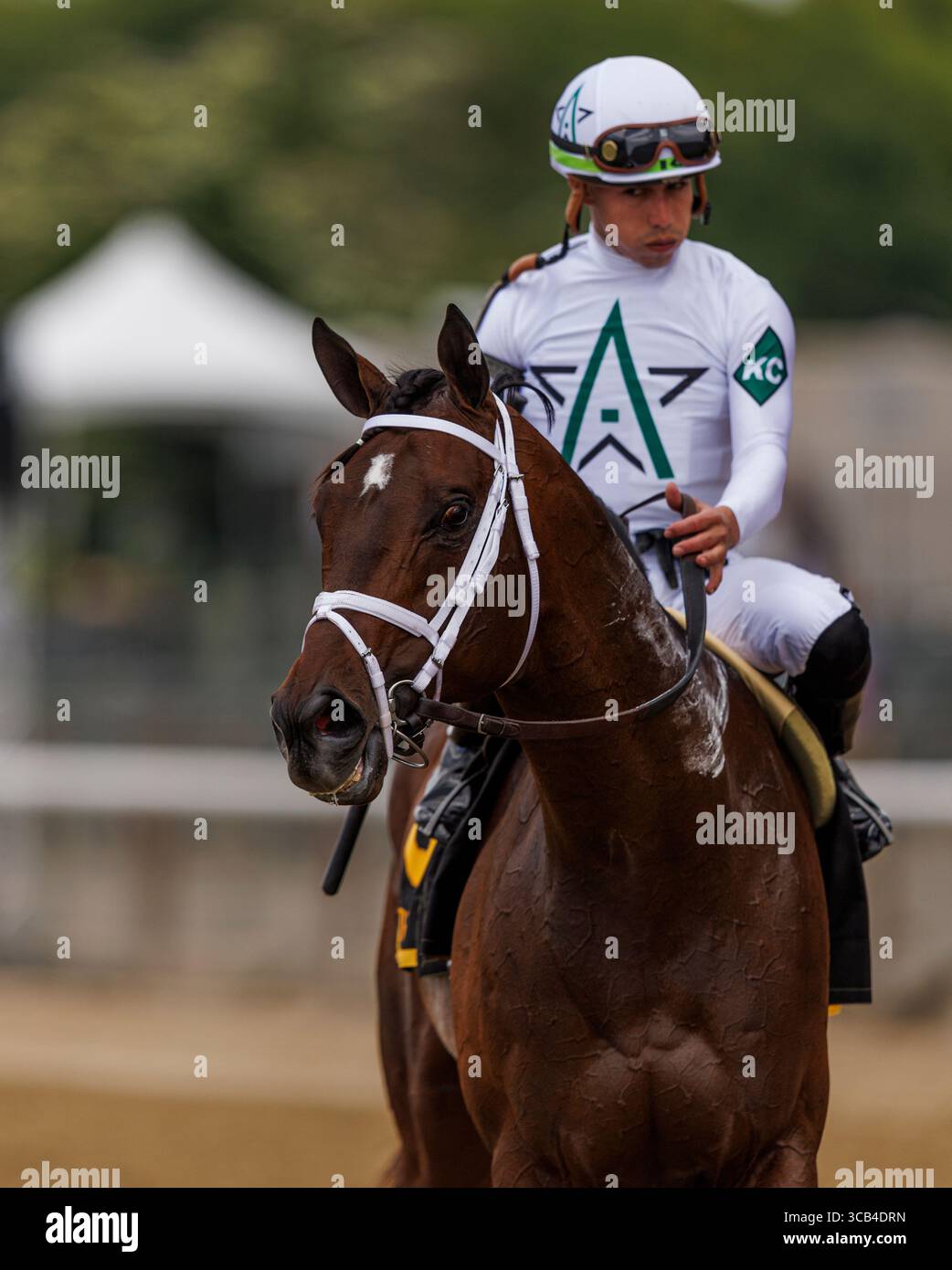 10 juin 2023, Elmont, New York, USA : Emmanuel avec Irad Ortiz Jr. remporte le Poker au Belmont Park le 10 juin 2023 à Elmont, New York. Evers/Eclipse Sportswire/CSM (crédit image : © Evers/CSM via ZUMA Press Wire) Banque D'Images