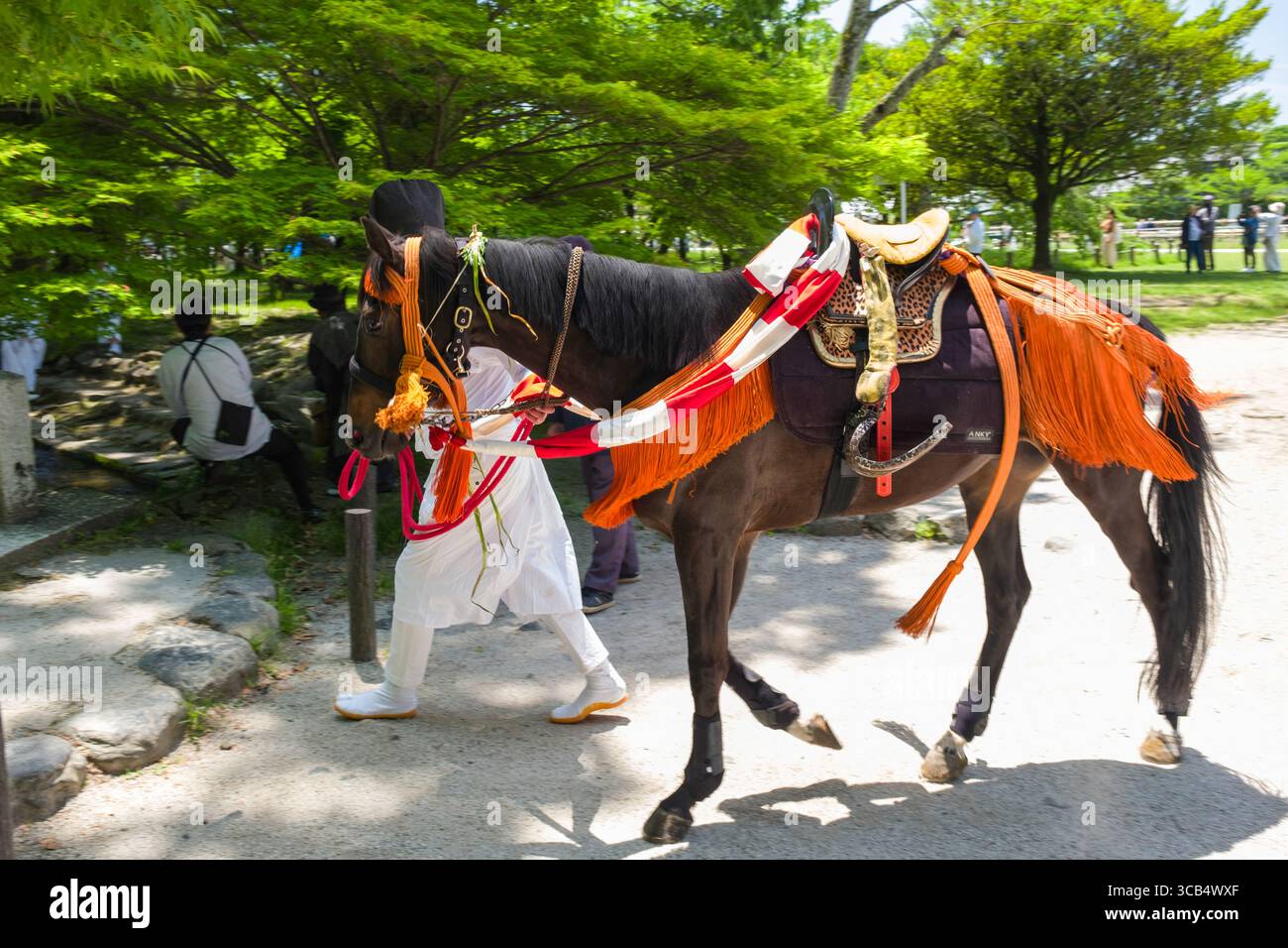 Un cheval joliment décoré en tenue traditionnelle est dirigé par une personne lors d'un festival japonais. Le cadre vibrant comprend des arbres et des spectateurs Banque D'Images