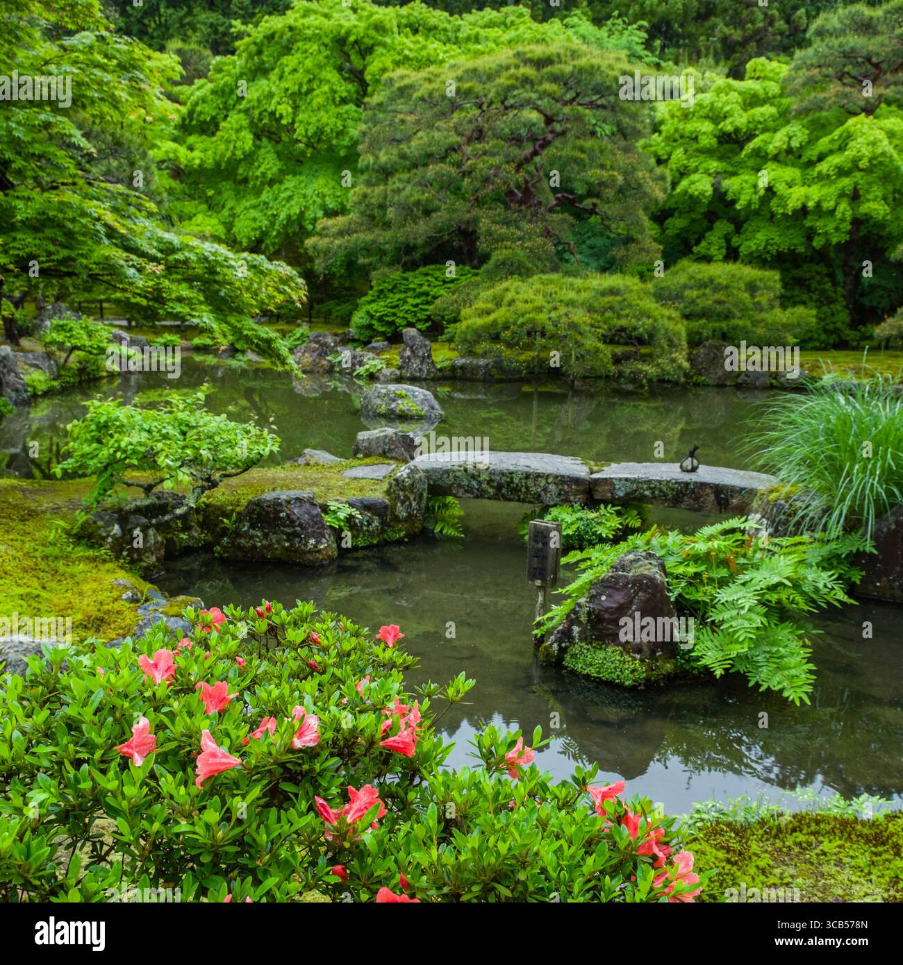 Découvrez la sérénité de ce jardin japonais doté d'un étang tranquille dans les jardins du temple bouddhiste Higashiyama Jisho-ji, Kyoto, Japon Banque D'Images