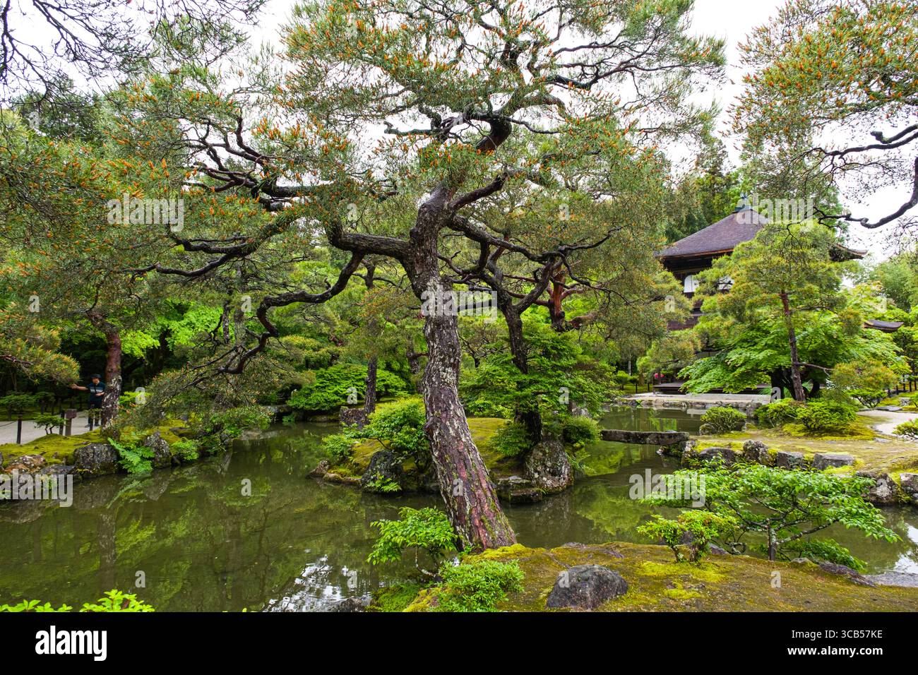 Un jardin japonais paisible avec des arbres luxuriants à Higashiyama Jisho-ji, un étang serein et une architecture traditionnelle, Kyoto, Japon Banque D'Images