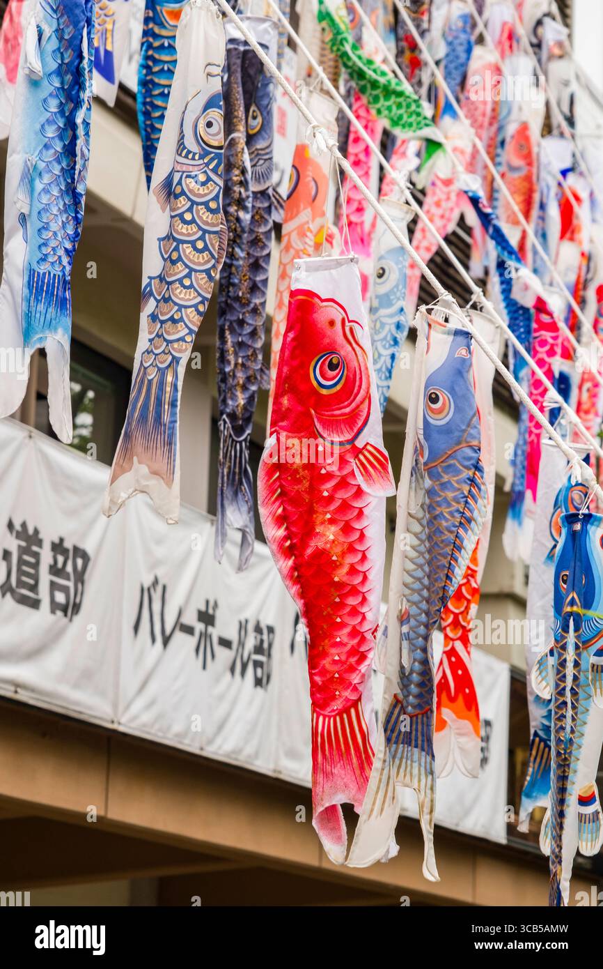Des banderoles de carpe koinobori vibrantes flottent gracieusement dans la brise, célébrant un festival japonais traditionnel, Sakyo Ward, Kyoto, Japon Banque D'Images