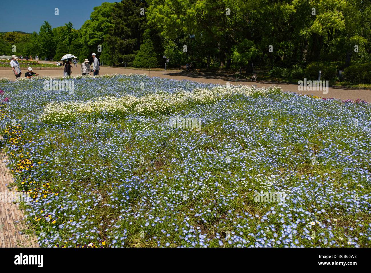 Un champ de fleurs coloré en pleine floraison sous un ciel bleu vif, avec des gens appréciant tranquillement le paysage de jardin. Capture un printemps serein et vibrant Banque D'Images