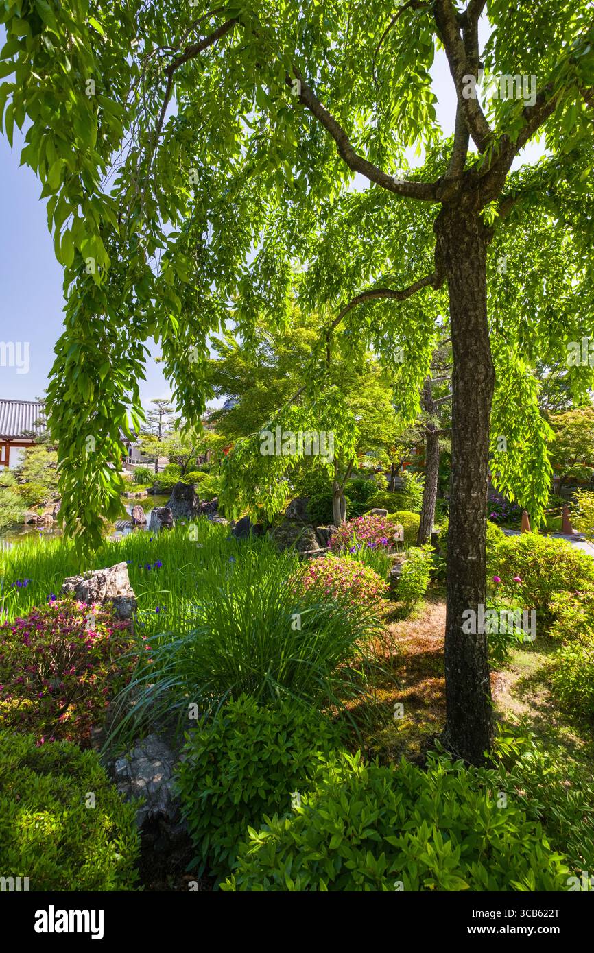 Magnifique jardin japonais à la scène du temple Sanjūsangen-dō avec une végétation luxuriante, des fleurs vibrantes et une atmosphère tranquille parfaite pour la détente et la détente Banque D'Images