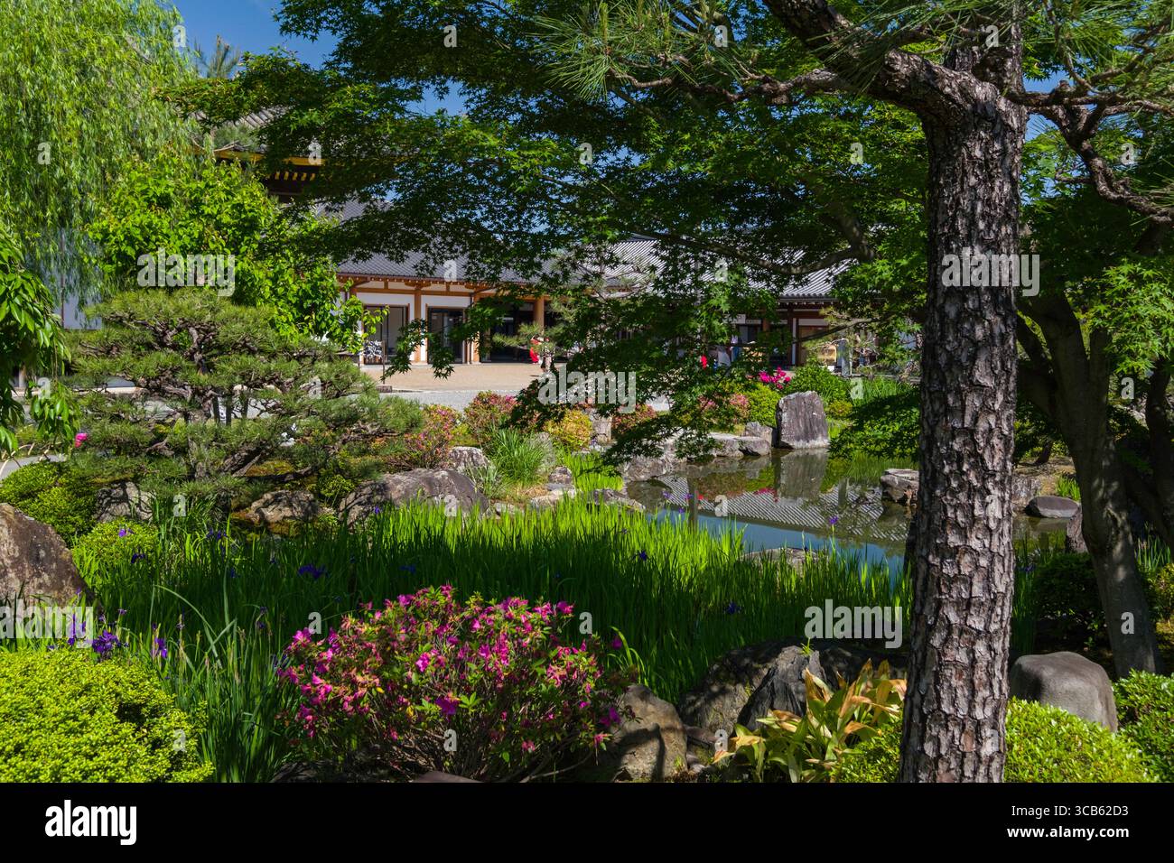 Le jardin japonais du temple Sanjūsangen-dō présente une flore vibrante, un étang calme et une architecture traditionnelle. Ce cadre paisible rayonne de tranquillité a Banque D'Images