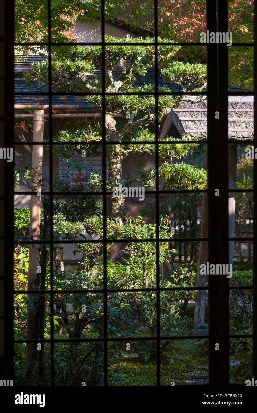 Paysage de jardin japonais vu depuis la fenêtre encadrée en bois d'un bâtiment traditionnel du temple bouddhiste zen japonais Enkōji, Kyoto, Japon Banque D'Images