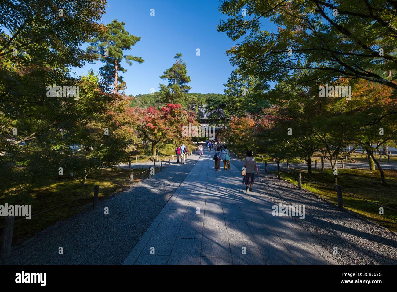 Les visiteurs se promènent le long d'un sentier ensoleillé entouré d'arbres dans un cadre paisible de parc. Nanzenji Fukuchicho, quartier Sakyo, Kyoto, Kansai, Honshu, Japon Banque D'Images