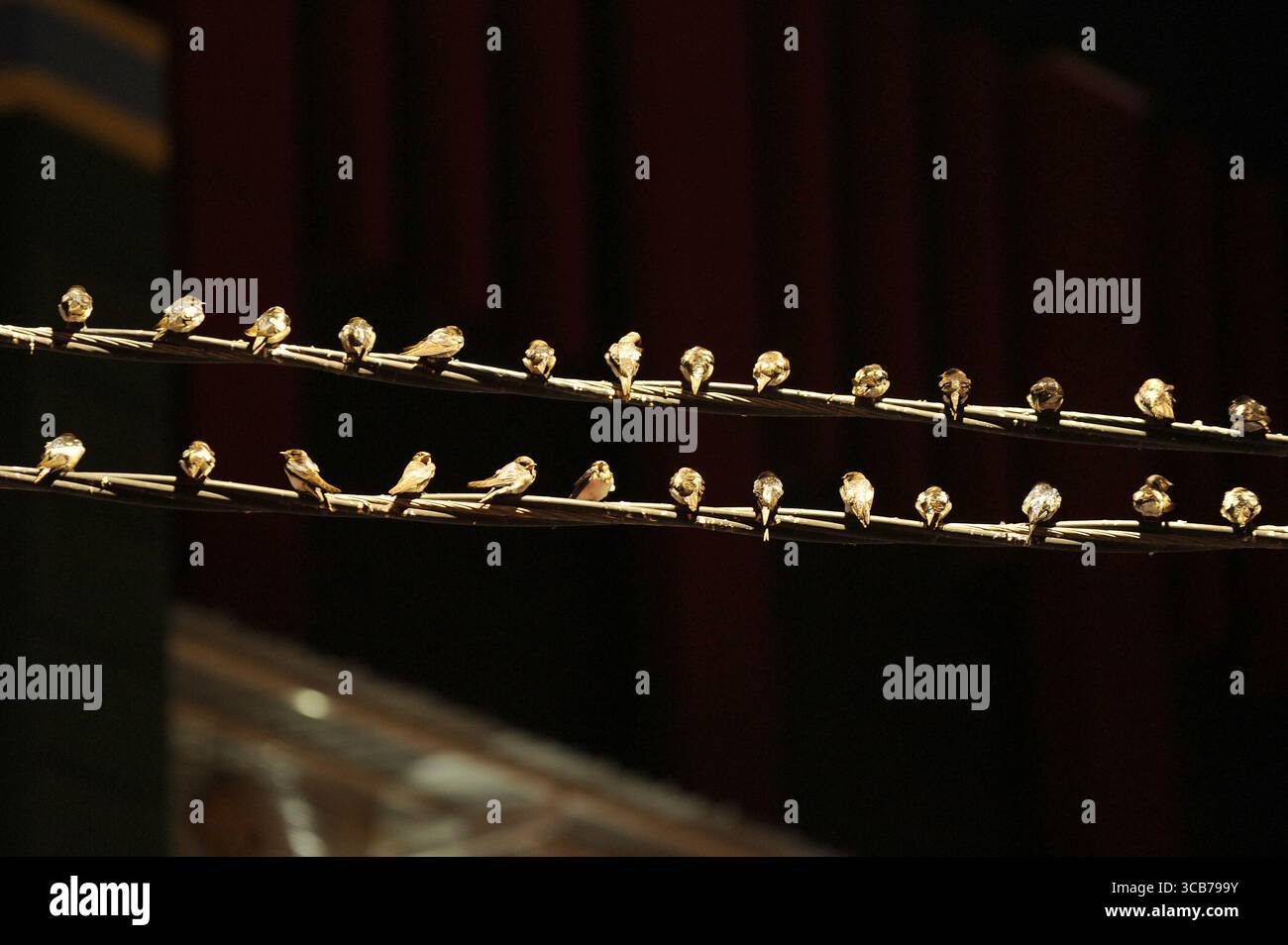 7 octobre 2023, Yogyakarta, Yogyakarta, Indonésie : des milliers de hirundo rustica asiatiques perchés sur les lignes électriques de la ville et les lumières des panneaux d'affichage pour se reposer la nuit à Yogyakarta, le 7,2023 octobre. Cet oiseau de petite longueur migre de ses aires de reproduction en Amérique du Nord et en Eurasie. Pour éviter les conditions météorologiques extrêmes, ces oiseaux volent, cherchent de la nourriture et se reposent dans d'autres régions. L'itinéraire de voyage est assez long, à partir de l'Amérique centrale et du Sud, du sud de l'Espagne, du Maroc, de l'Egypte, de l'Afrique subsaharienne, moyen-Orient, Inde, Indochine, Malaisie, Australie, jusqu'à l'arrivée en Indonésie à Septembe Banque D'Images