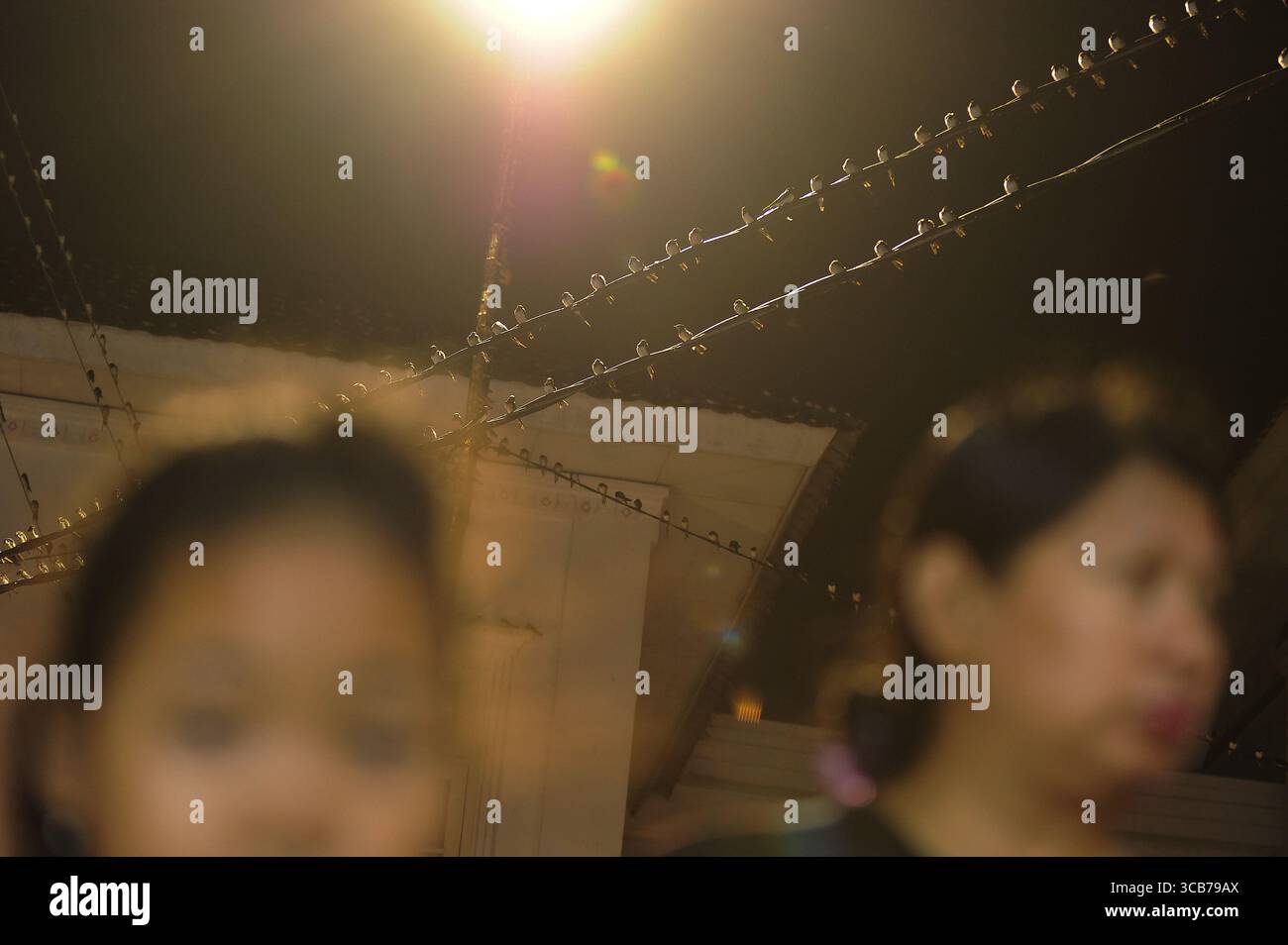 7 octobre 2023, Yogyakarta, Yogyakarta, Indonésie : des milliers de hirundo rustica asiatiques perchés sur les lignes électriques de la ville et les lumières des panneaux d'affichage pour se reposer la nuit à Yogyakarta, le 7,2023 octobre. Cet oiseau de petite longueur migre de ses aires de reproduction en Amérique du Nord et en Eurasie. Pour éviter les conditions météorologiques extrêmes, ces oiseaux volent, cherchent de la nourriture et se reposent dans d'autres régions. L'itinéraire de voyage est assez long, à partir de l'Amérique centrale et du Sud, du sud de l'Espagne, du Maroc, de l'Egypte, de l'Afrique subsaharienne, moyen-Orient, Inde, Indochine, Malaisie, Australie, jusqu'à l'arrivée en Indonésie à Septembe Banque D'Images