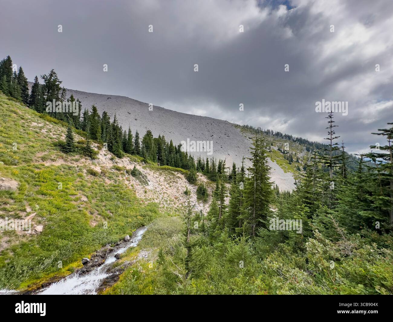 Une scène montagneuse tranquille avec des pins verdoyants le long du sentier Mount Hood Timberline, un ruisseau doux qui coule à travers la vallée et un DRAM Banque D'Images