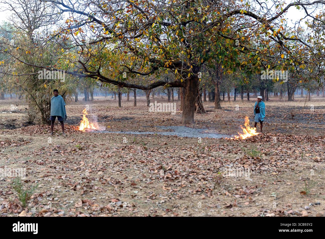 Hommes locaux debout devant un feu de brousse pour se réchauffer un matin froid à Chhattisgarh en inde Banque D'Images