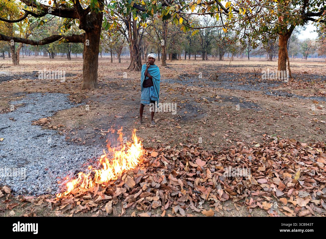 Homme local debout devant un feu de brousse pour se réchauffer un matin froid à Chhattisgarh en inde Banque D'Images