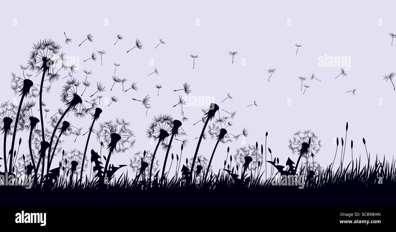 Les fleurs de pissenlit avec des graines volantes. Illustration de Vecteur