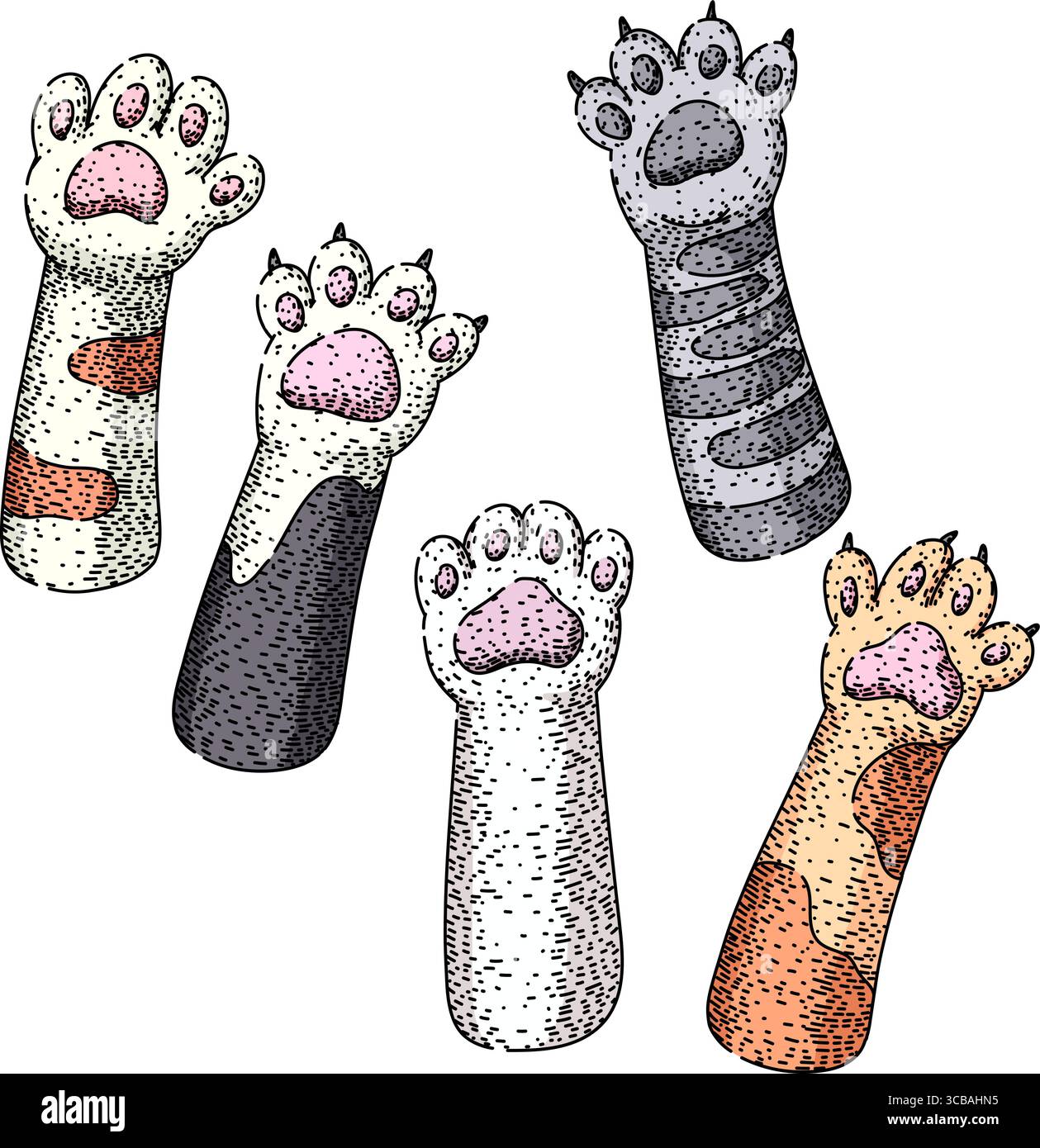 vecteur dessiné à la main par jeu de pattes de chat Illustration de Vecteur