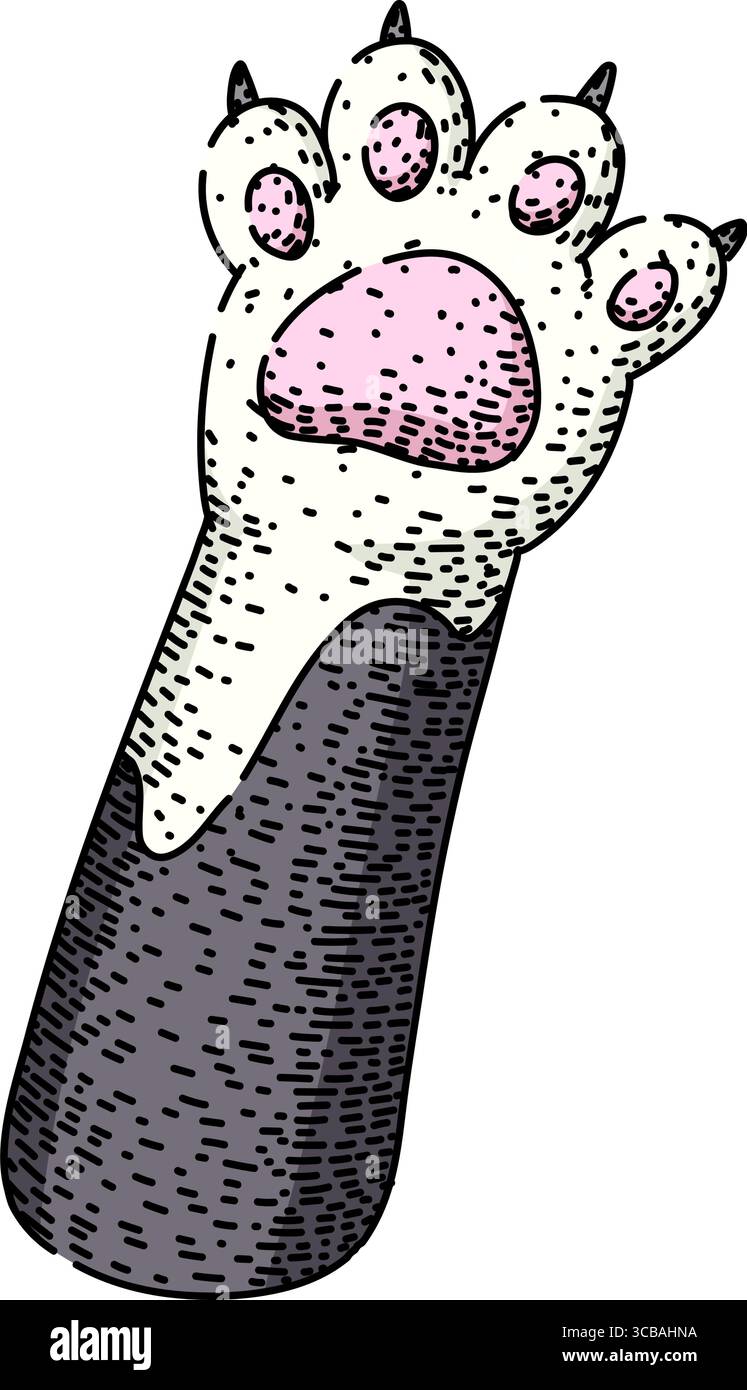 esquisse de patte de chat félin vecteur dessiné à la main Illustration de Vecteur