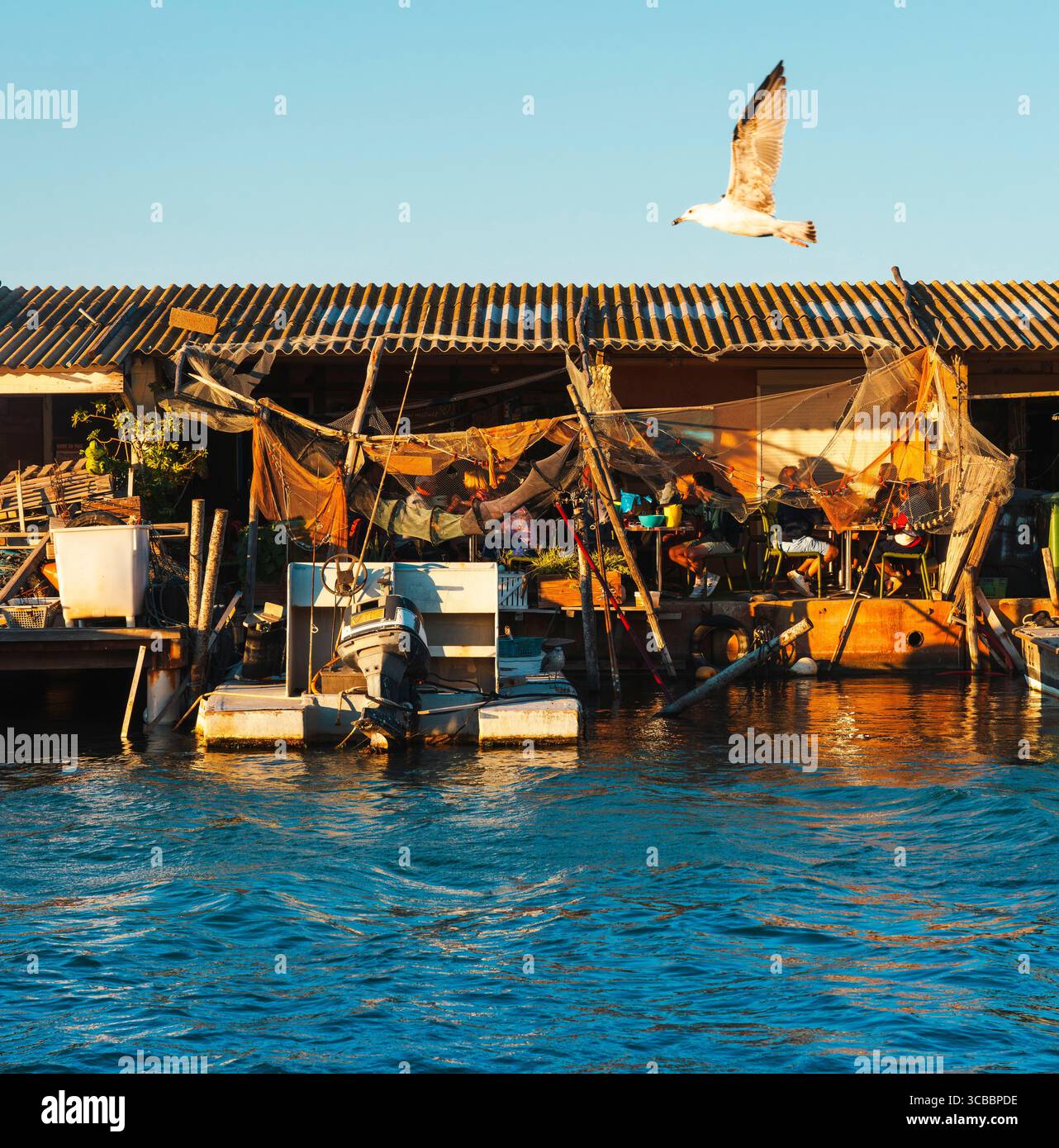 France, Aude, Parc naturel régional Narbonnaise en Méditerranée, Côte du midi, Côte du midi, Grand Narbonne, Leucate, Grau de Leucate, clients et touristes dégustant des huîtres sur la terrasse d'une cabane à huîtres au bord du canal en été au coucher du soleil Banque D'Images