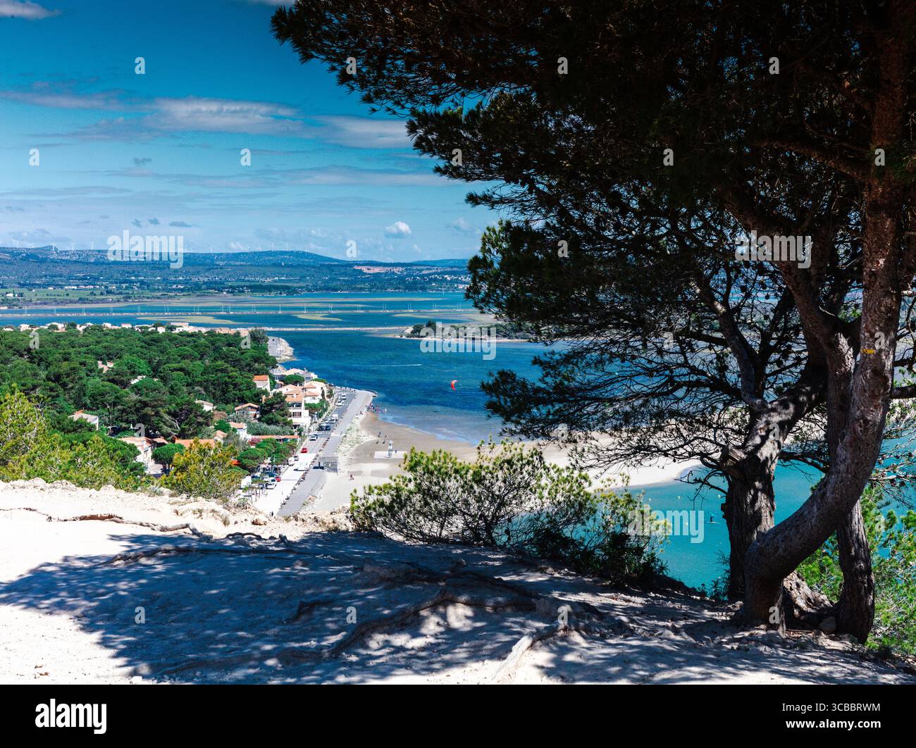 France, Aude, Parc naturel régional Narbonnaise en Méditerranée, Côte du midi, Côte du midi, Grand Narbonne, Leucate, la Franqui, vue estivale sur un paysage marin du littoral d'un village balnéaire depuis une falaise boisée de pins et végétation méditerranéenne en plein jour Banque D'Images