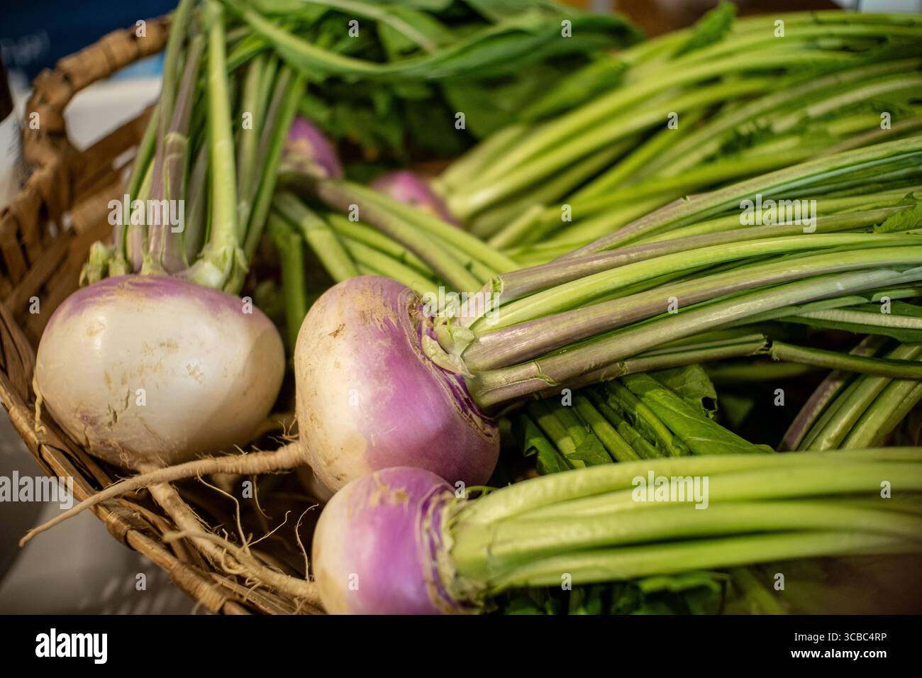 Un panier de navets frais avec des feuilles vertes. Concept la générosité de la récolte locale. Banque D'Images