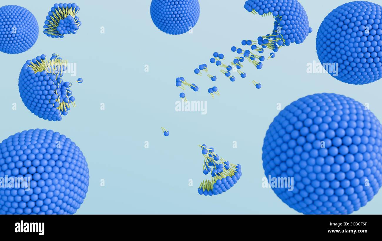 Un rendu 3d d'un liposome, une vésicule sphérique composée d'une bicouche lipidique de rupture, avec quelques petits fragments de la bicouche se détachant Banque D'Images