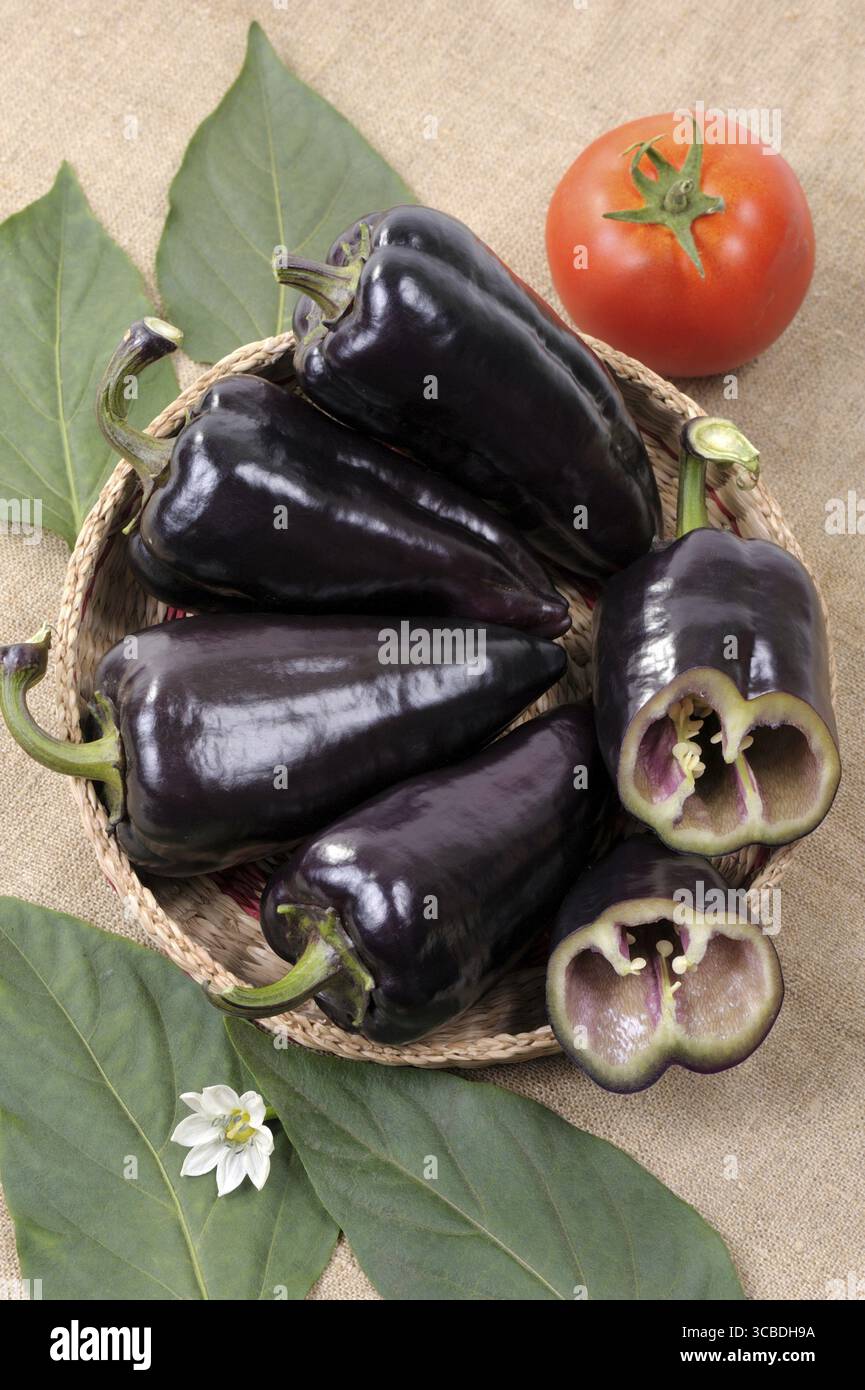 Le noir le poivron, l'un est coupé Banque D'Images