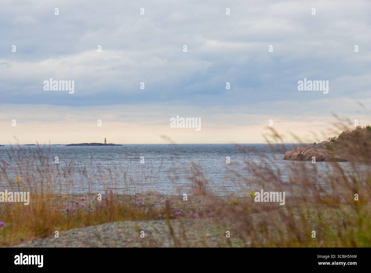Paysage côtier avec mer, rivage couvert d'herbe, rochers éparpillés, et un phare lointain s'élevant au-dessus de l'horizon, harmonie entre la nature et l'homme Banque D'Images