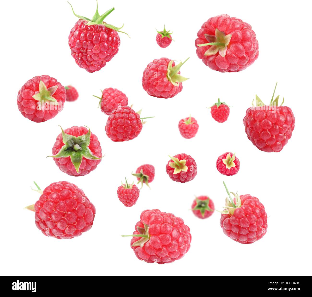 Framboises fraîches tourbillonnant dans l'air sur fond blanc Banque D'Images