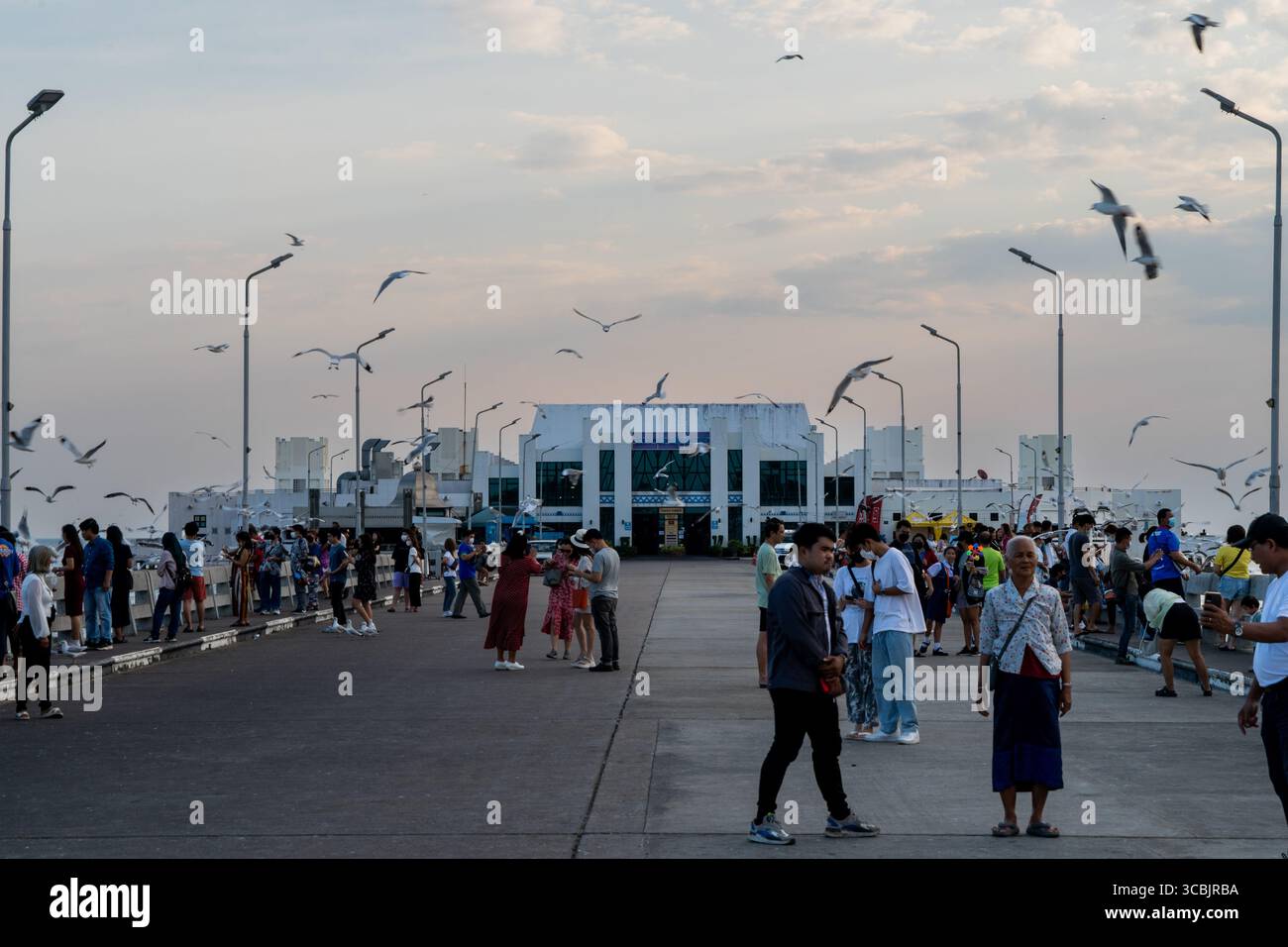24 janvier 2023, Bangkok, Samut Prakan, Thaïlande : les gens marchent le long d'une jetée à Bang pu Recreation Area, un parc connu pour ses grands troupeaux de mouettes et de mangroves. (Crédit image : © Matt Hunt/ZUMA Press Wire) Banque D'Images