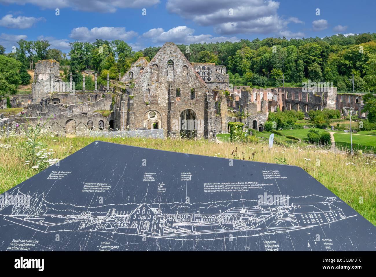Ruines de l'abbaye de Villers du XIIIe siècle, ancienne abbaye cistercienne dans la commune de Villers-la-ville, Brabant wallon, Belgique Banque D'Images