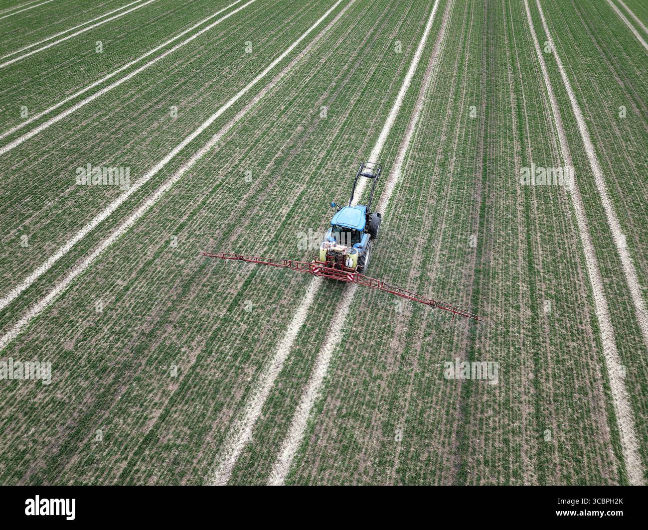 Agriculteur pulvérisant des pesticides sur ses céréales d'hiver en mars, vue aérienne, Allemagne, Rhénanie du Nord-Westphalie Banque D'Images