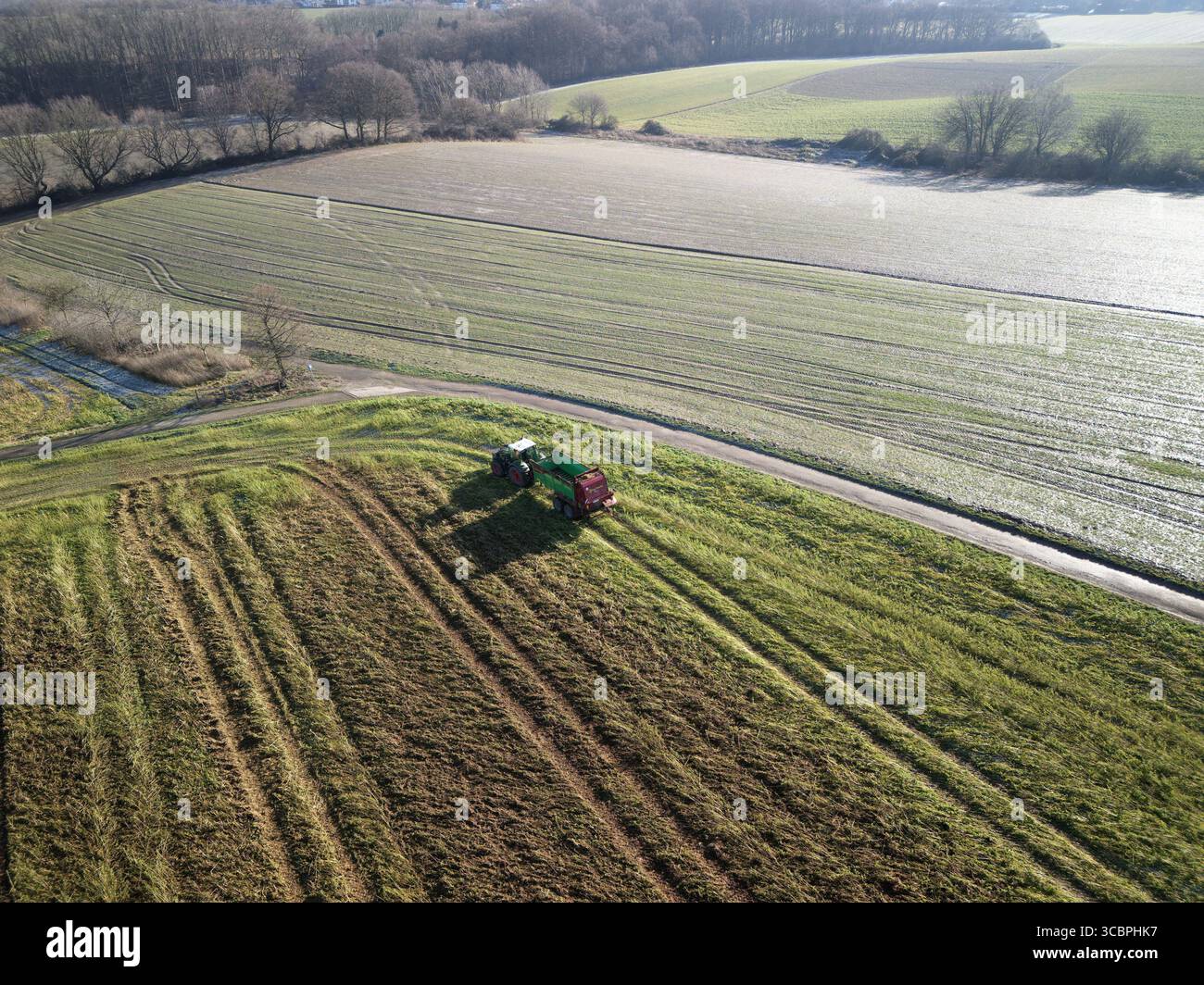Tracteur sur champ fraîchement fertilisé en hiver, vue aérienne, Allemagne, Rhénanie du Nord-Westphalie Banque D'Images