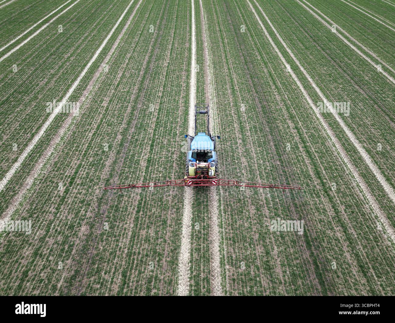 Agriculteur pulvérisant des pesticides sur ses céréales d'hiver en mars, vue aérienne, Allemagne, Rhénanie du Nord-Westphalie Banque D'Images