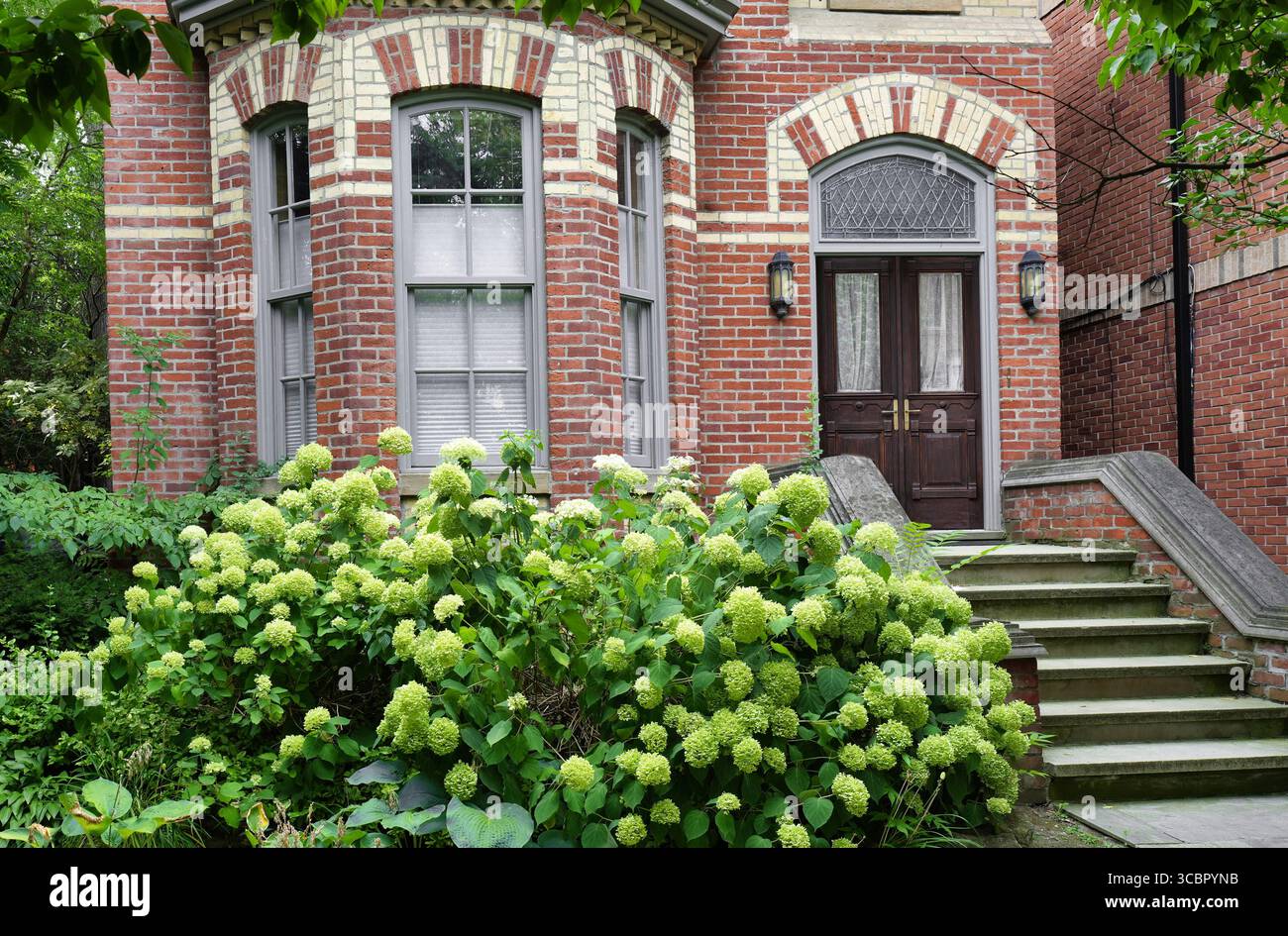 maisons du xixe siècle avec briques multicolores à motifs, connues sous le nom de polychromes Banque D'Images