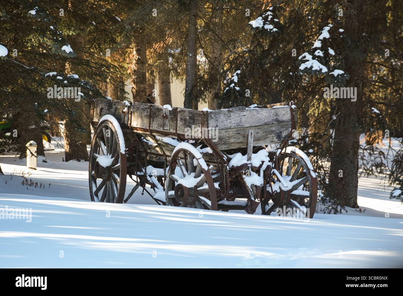 Un vieux wagon couvert de neige, dans une scène hivernale avec le soleil culminant à travers les arbres en arrière-plan. Banque D'Images