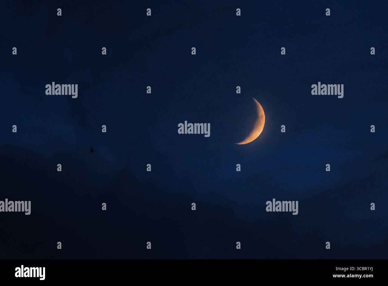 Nouvelle lune la lune illuminée par le soleil en orange au crépuscule sur le ciel bleu de motte Banque D'Images