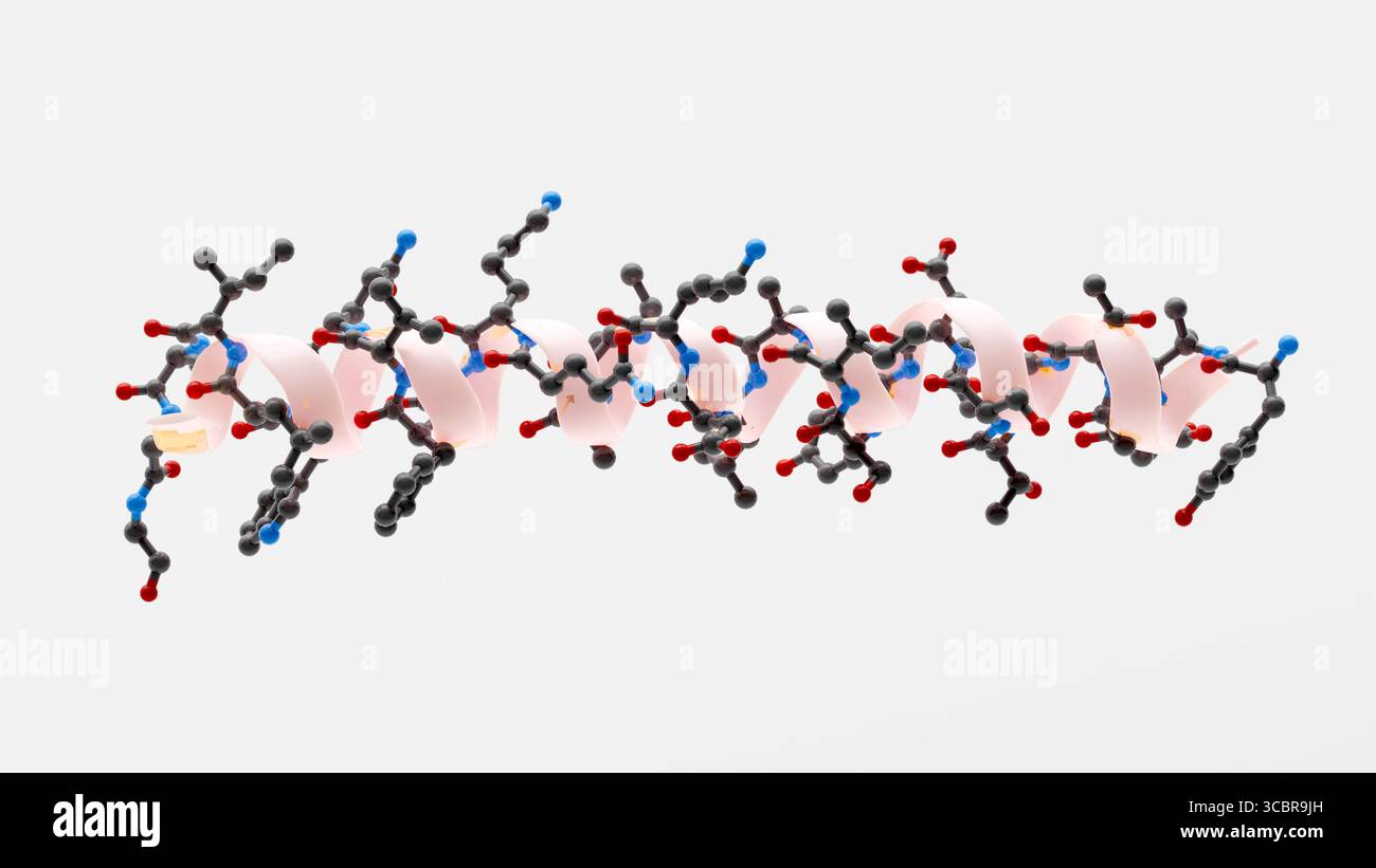 Illustration montrant la structure 3D d'une molécule de tirzépatide avec une hélice alpha pour mettre en évidence cette caractéristique de sa structure. Banque D'Images