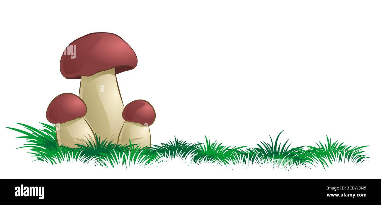 Champignons forestiers avec une herbe verte. Illustration de Vecteur