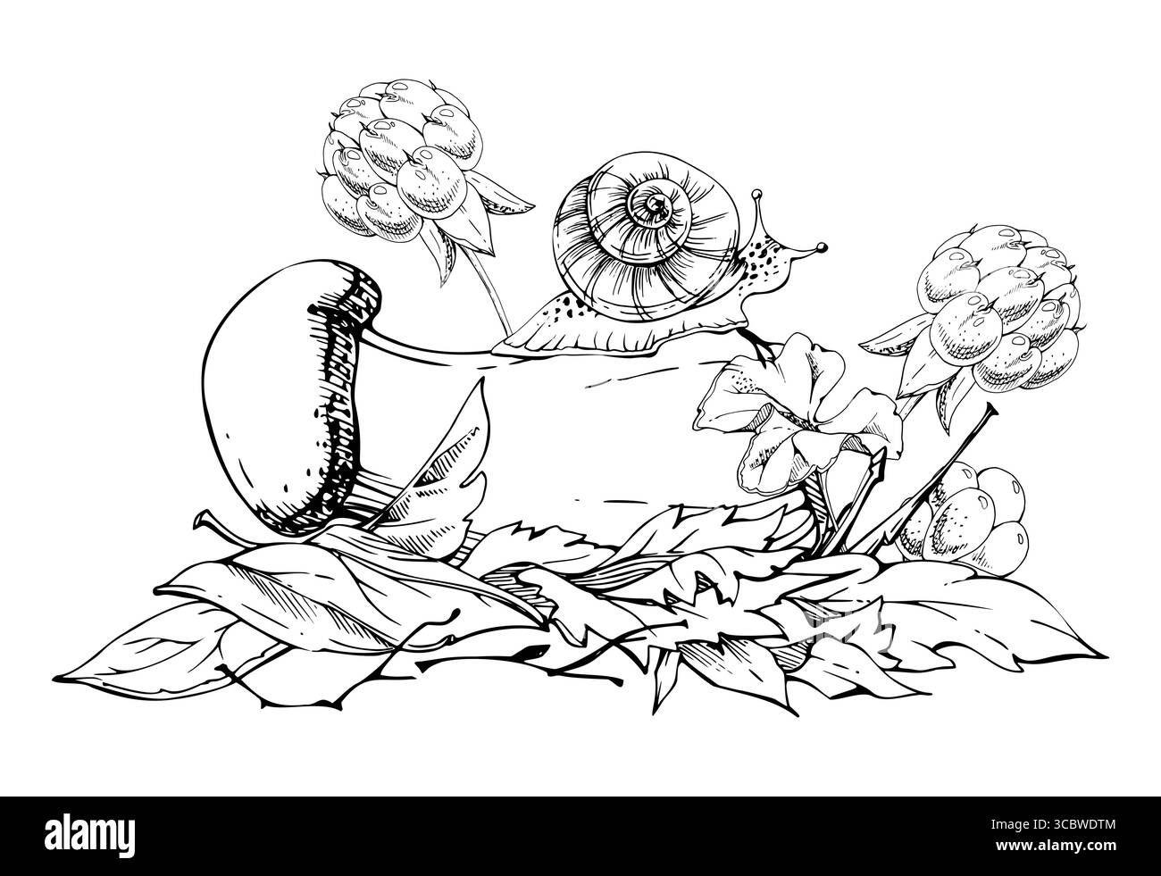 Bouleau bolete cep leccinum champignon champignon, baies de mûrier scaber tige avec escargot sur le dessus des feuilles d'automne tombées. Écosystème forestier Illustration de Vecteur