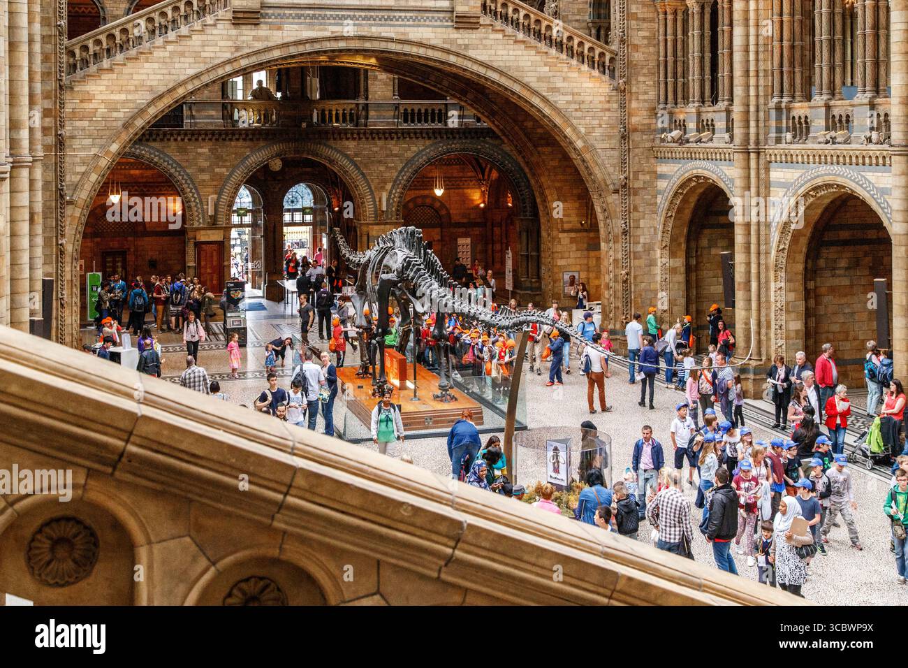 LONDRES, GRANDE-BRETAGNE - 22 MAI 2014 : C'est la salle centrale du Musée d'histoire naturelle. Banque D'Images