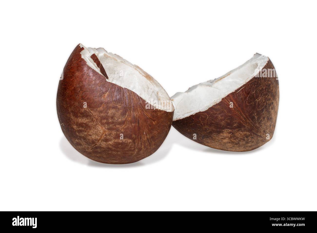 Noix de coco à moitié cassée et complètement séchée isolée sur fond blanc Banque D'Images