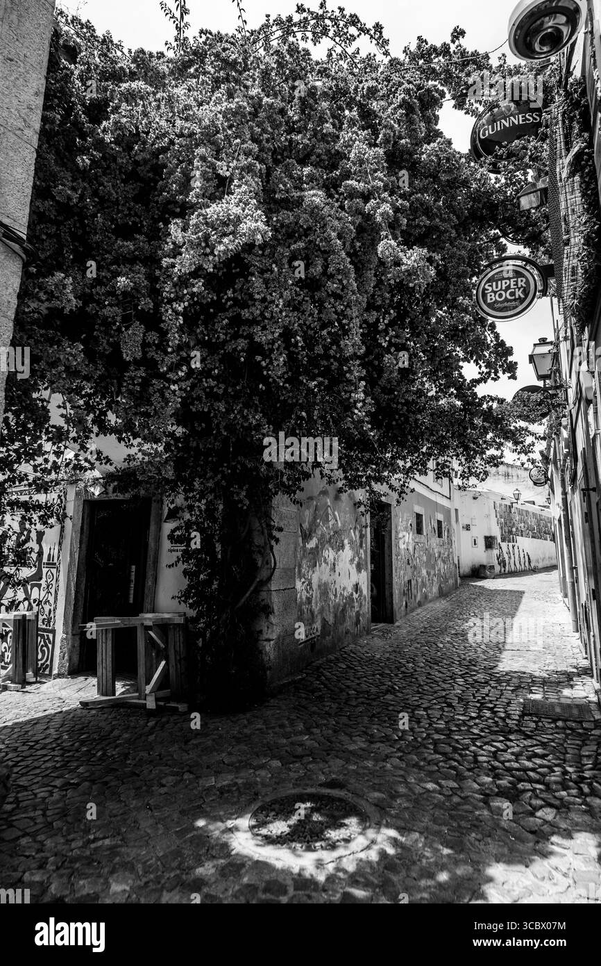 Algarve, Portugal – 2025.06.28 Une étroite ruelle pavée avec des bougainvilliers lumineux et un signe de bière à côté des murs couverts de fresques dans la vieille ville Banque D'Images