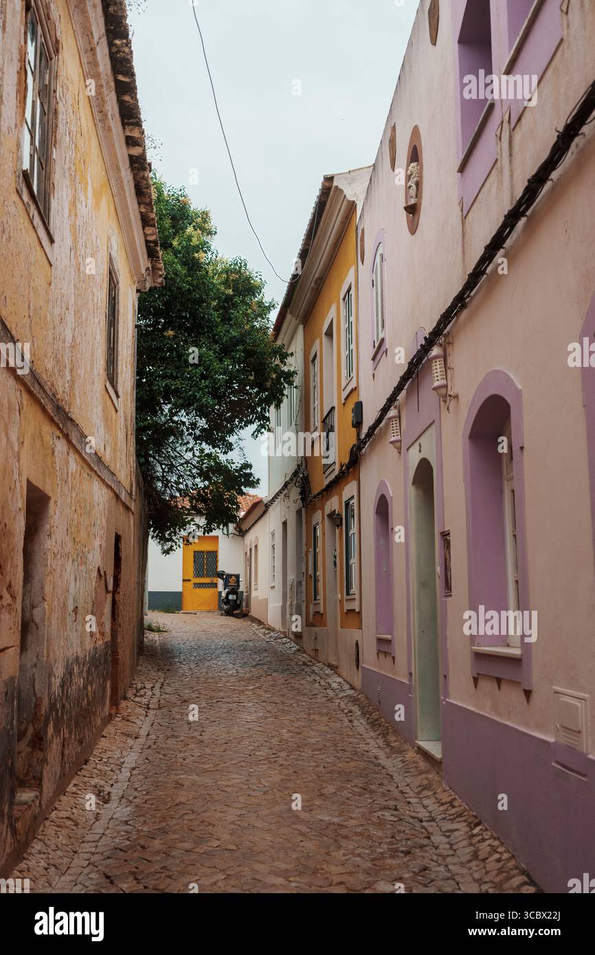 Algarve, Portugal – 2025.07.04 : une charmante ruelle pavée étroite bordée de maisons aux couleurs pastel, menant à une porte jaune et ombragée par une feuille Banque D'Images