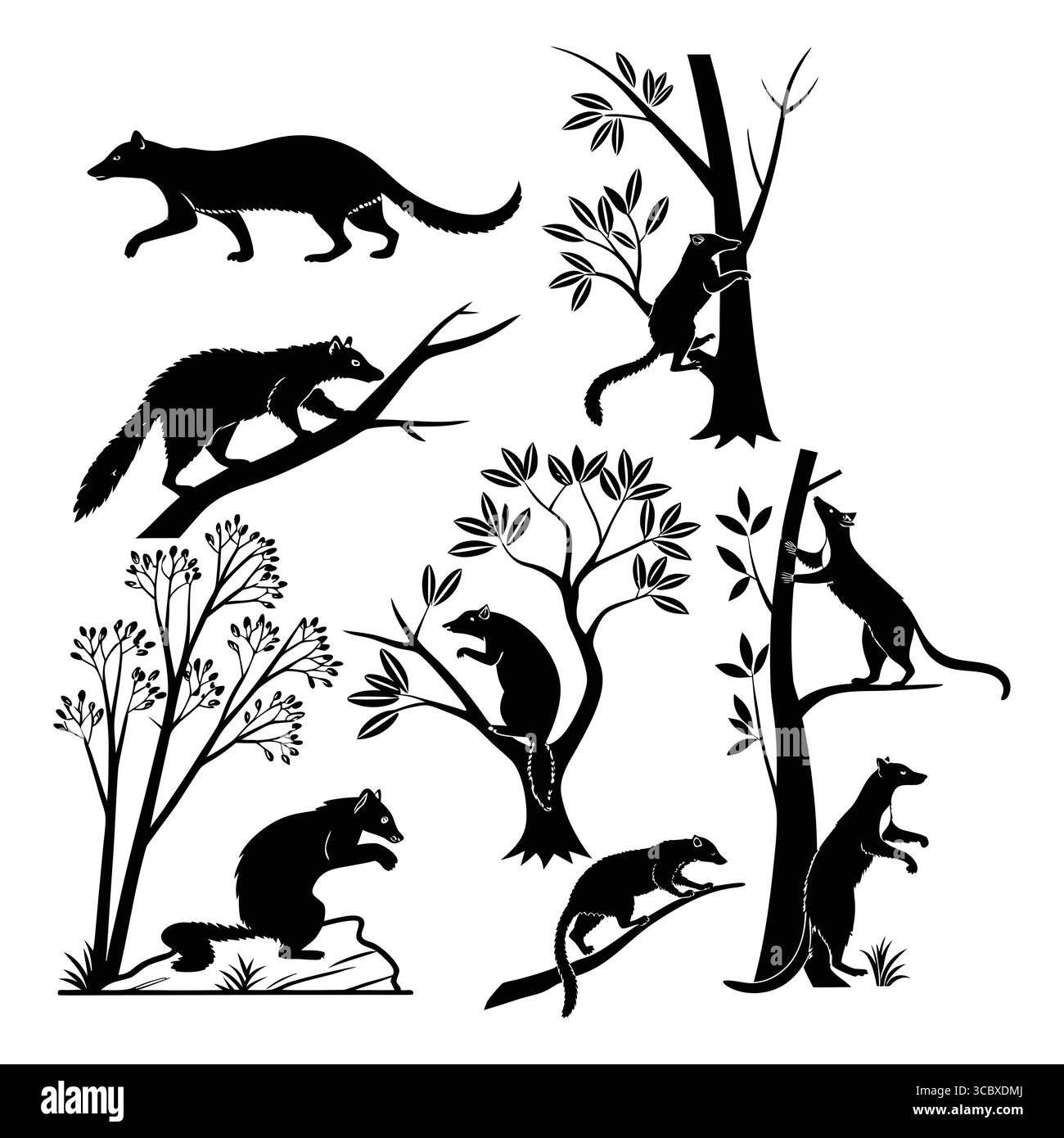 Silhouette de mammifères grimpants Asian Palm Civet dans les arbres avec Forest Element Design Illustration de Vecteur