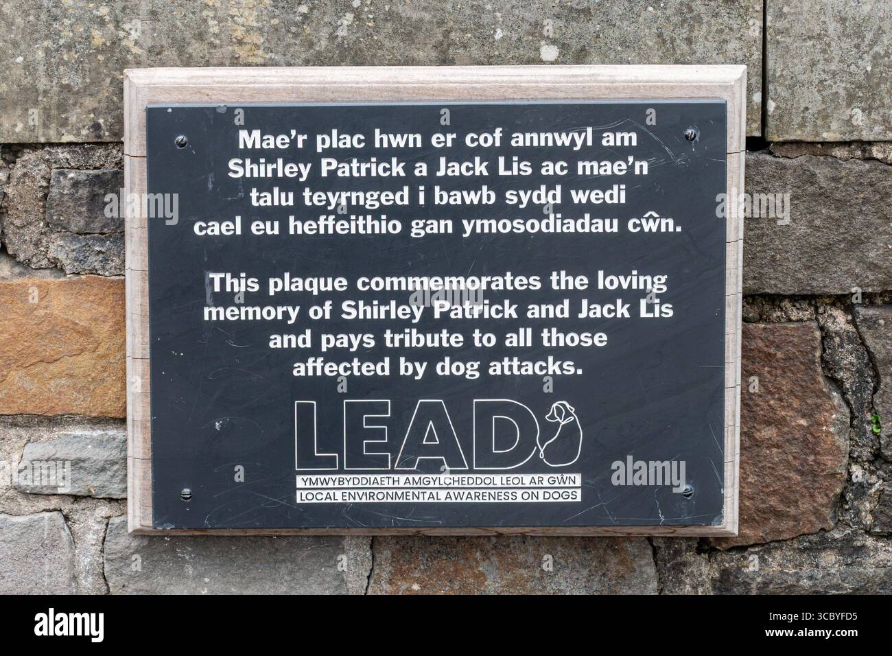 Plaque commémorative en l'honneur de Shirley Patrick et Jack lis, morts à la suite d'attaques de chiens à Caerphilly, au sud du pays de Galles, au Royaume-Uni Banque D'Images