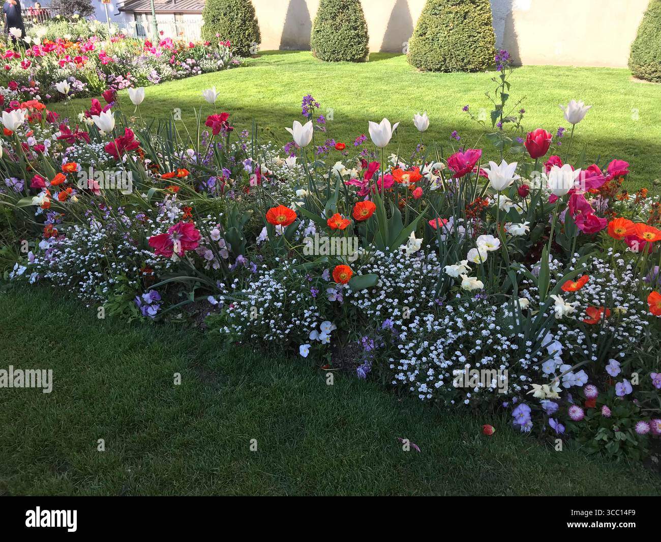 jardin avec une grande variété de plantes et de fleurs en très bon état Banque D'Images