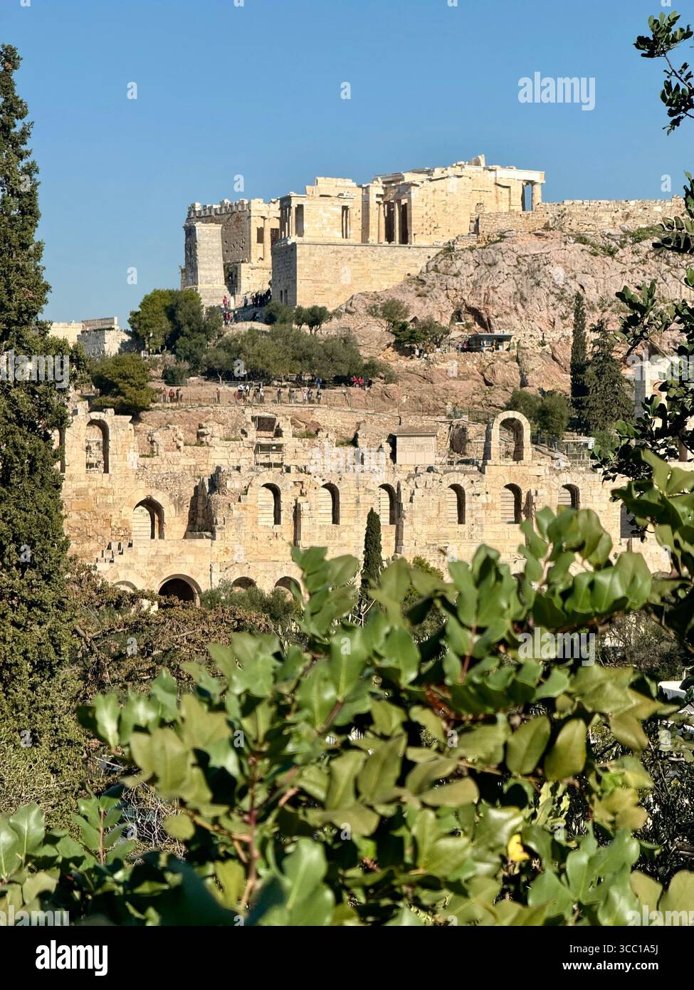 Vue sur l'Acropole d'Athènes avec l'Odéon d'Hérode Atticus au premier plan, encadrée par une végétation luxuriante. - Image de stock capturée avec un smartphone